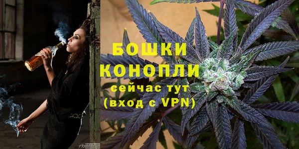 гидра Киреевск