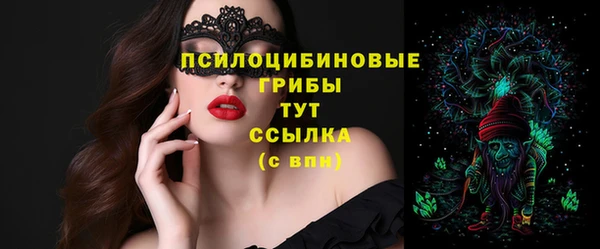 трава Надым