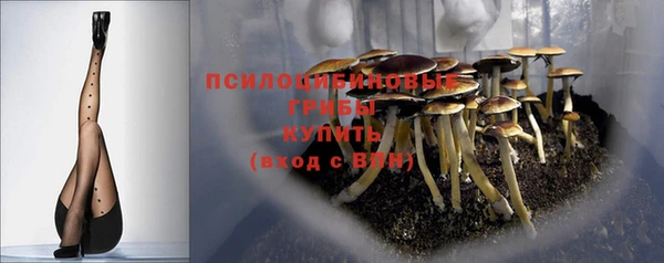 трава Надым