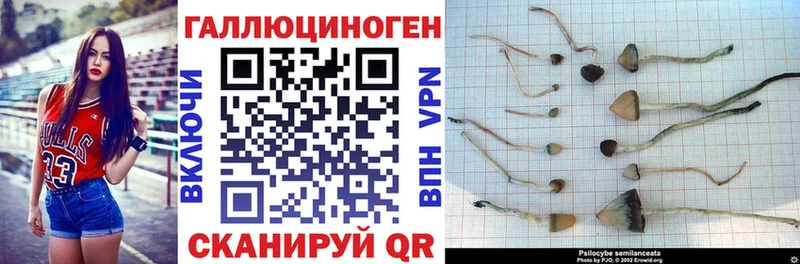 ссылка на мегу рабочий сайт  Торопец  Псилоцибиновые грибы ЛСД 